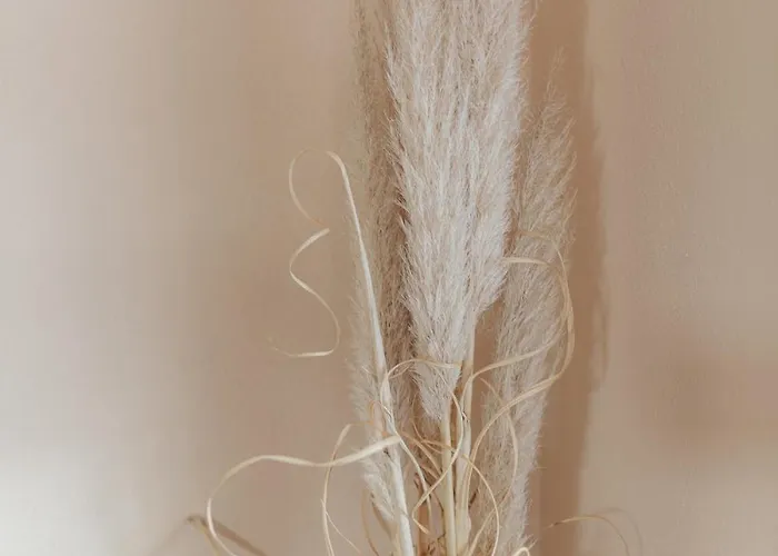 Seabreeze Appartamento *